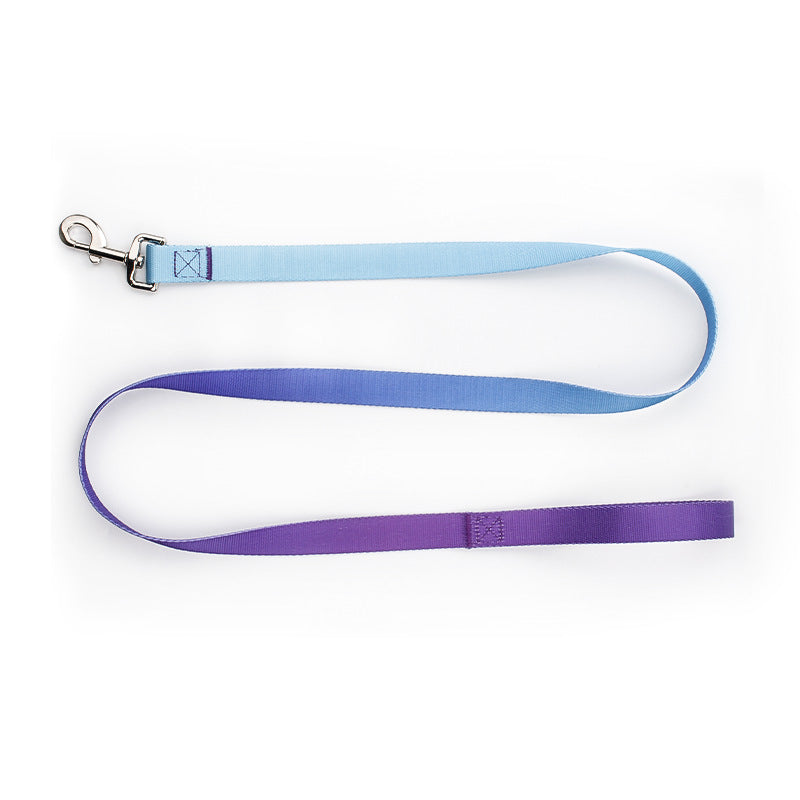 Hundhalsband och koppel - Färgglad elegans för varje promenad