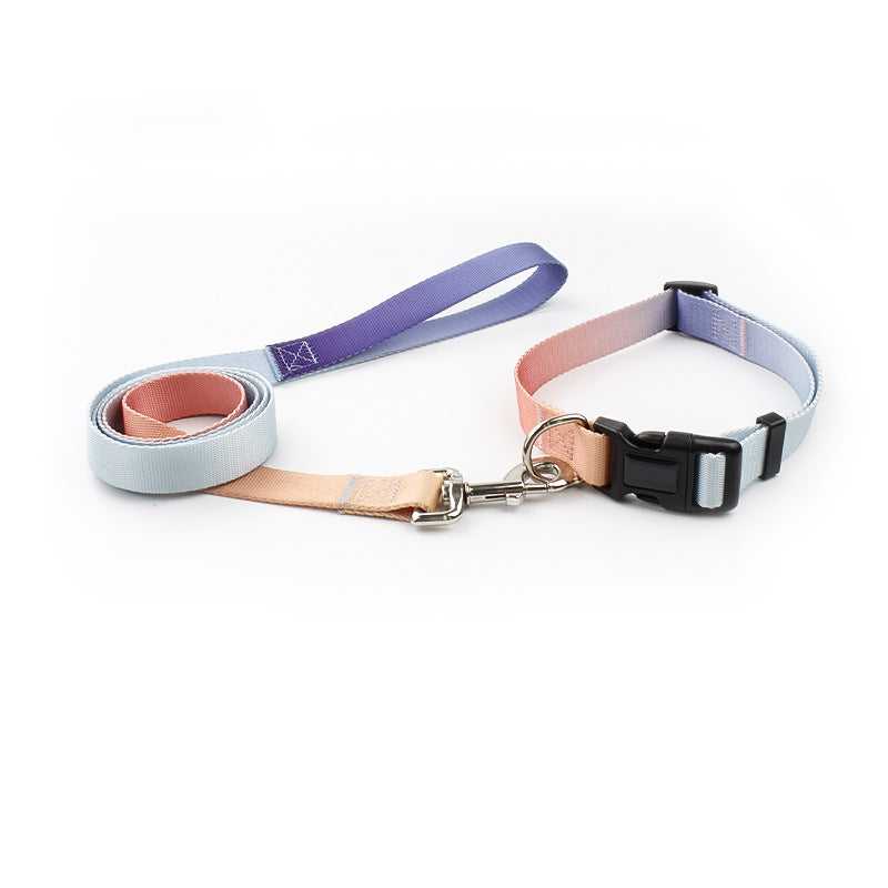Hundhalsband och koppel - Färgglad elegans för varje promenad