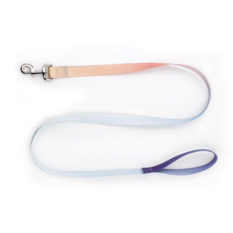 Hundhalsband och koppel - Färgglad elegans för varje promenad