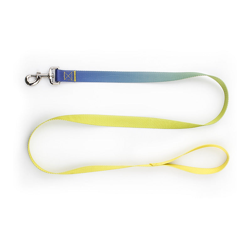 Hundhalsband och koppel - Färgglad elegans för varje promenad